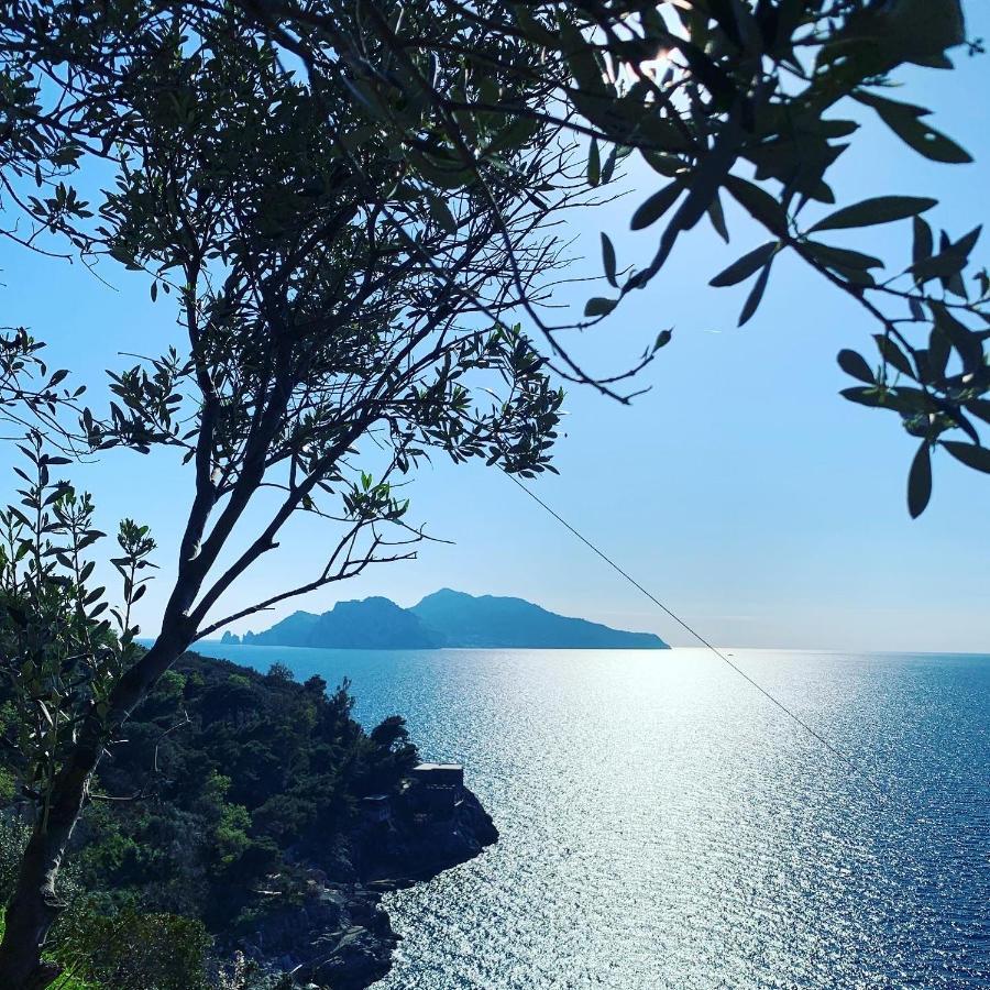 Bed and Breakfast Il Chiostro Massa Lubrense Exterior foto